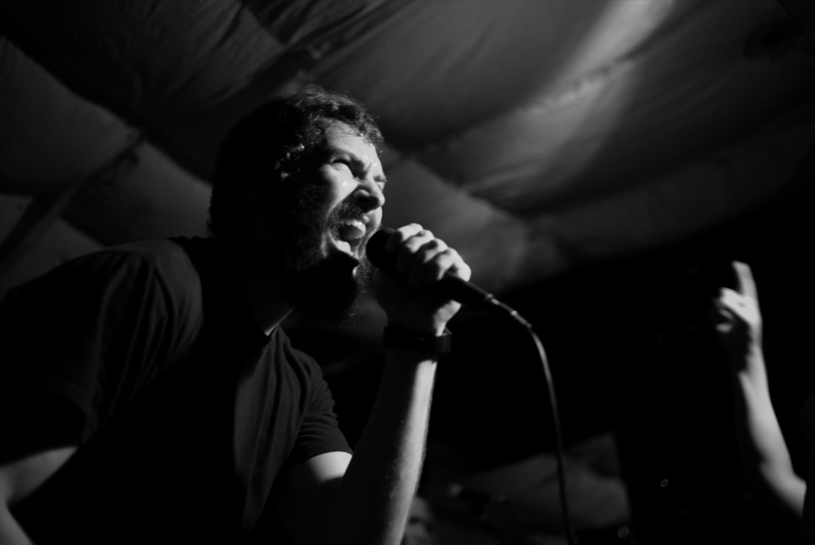 ITALICS live